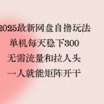 2025最新网盘自撸玩法，单机每天稳下3张，无需流量和拉人头，一个人就可轻松矩阵，全网独一份【揭秘】