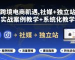 跨境电商新机遇，社媒+独立站，实战案例教学+系统化教学