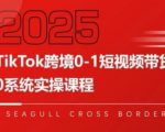 TikTok跨境0-1短视频带货，系统拆解TikTok跨境带货全链路，实现跨境可持续盈利