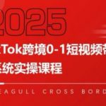 TikTok跨境0-1短视频带货，系统拆解TikTok跨境带货全链路，实现跨境可持续盈利