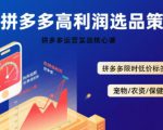 拼多多选品暴利技术实战课，拼多多高利润选品策略，拼多多限时低价标签秘诀