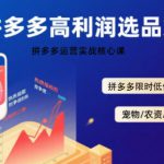 拼多多选品暴利技术实战课，拼多多高利润选品策略，拼多多限时低价标签秘诀