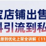 淘宝店铺出售虚拟资料引流到私域，从店铺注册到优化上架全讲解(11节课)