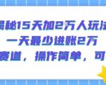揭秘15天加2W人玩法，一天最少2万进账，蓝海赛道，操作简单，可矩阵