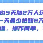 揭秘15天加2W人玩法，一天最少2万进账，蓝海赛道，操作简单，可矩阵