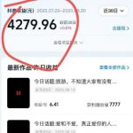 抖音视频号新赛道今日话题今日语录，撸伙伴计划跟视频号分成