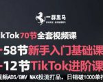 TikTok全套视频课，新手入门+进阶课，短视频ADS-GMV MAX投流打品，日销破1000单打法