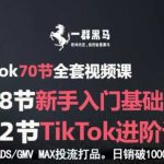 TikTok全套视频课，新手入门+进阶课，短视频ADS-GMV MAX投流打品，日销破1000单打法