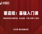 小红薯薯店商城卖货，基础入门课，教你如何进行店铺开通、后台设置、产品上传等入门知识