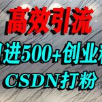 怎么打创业粉？CSDN又一个你不知道的打粉引流神秘平台，单人日引500+精准流量