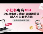 小红书电商0基础+高级运营课，新人小白必学方法，实操教学+案例分析