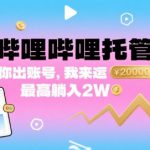 【哔哩哔哩托管】你出账号，我来运营，最高躺入2W【揭秘】