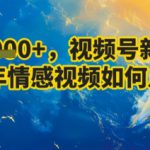 7天收益1k+，视频号新风口：中老年情感视频如何月入过W?