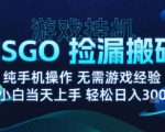 8月最新游戏搬砖，CSGO纯挂G，不需要玩游戏，实现真挂G，月入1W+【揭秘】
