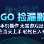 8月最新游戏搬砖，CSGO纯挂G，不需要玩游戏，实现真挂G，月入1W+【揭秘】