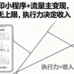 去水印小程序+流量主变现，收益无上限，执行力决定收入