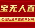 淘宝无人直播带货最新技术，不封号，不违规 操作简单，开播爆单，日入1k+【揭秘】