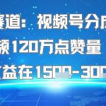 懒人赛道：视频号分成计划单条视频120W点赞量 收益高综合收益在1.5K左右