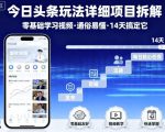 今日头条玩法详细项目拆解，零基础学习视频 通俗易懂 14天搞定它