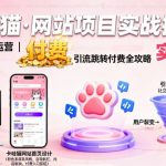 卡哇猫·网站项目，网站搭建与运营以及引流跳转付费