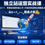 独立站运营实战课，​从0到1，零基础也能快速上手，开启你的品牌出海掘金之旅
