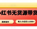 小红书无货源带货项目，简单无脑，新人小白日入多张