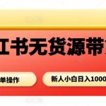 小红书无货源带货项目，简单无脑，新人小白日入多张