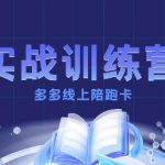 多多实战训练营，从0到1打造一个真正賺钱的店铺