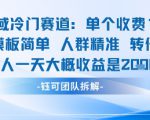 私域冷门赛道单个收费198米引流模板简单人群精准 45%的转化率单人一天大概收益多张