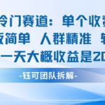 私域冷门赛道单个收费198米引流模板简单人群精准 45%的转化率单人一天大概收益多张