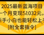 2025最新蓝海项目一个月变现1w+新手小白也能轻松上手【附全套指令】