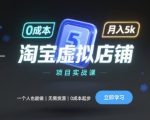 淘宝虚拟店铺项目实战课，一个人也能做，无需货源、0成本起步，月入5k