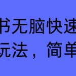 小红书无脑快速涨粉变现玩法，简单粗暴