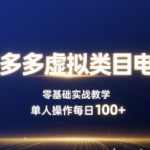 拼多多虚拟类目电商，零基础实战教学，单人操作每日100+