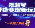 视频号带货变现新玩法，无需露脸，无需粉丝，无任何封号风险，一天收益8张【揭秘】