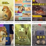 狗头幸运星UE5动画全套课程，从入门到实操全掌握