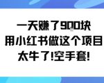 一天挣了9张用小红书做这个项目太牛了，空手套