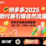 拼多多2025微付费引爆自然流量，拼多多电商运营教程，运营、推广、打爆品、微付费（更新）