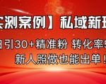 【实测案例】私域新玩法，日引30+精准粉，转化率50%，新人照做也能出单！