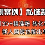 【实测案例】私域新玩法，日引30+精准粉，转化率50%，新人照做也能出单！