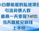 2025年小白都能做的私域项目引流负债人群最高一天变现1k+高变现难度低当天就能见到钱上手快