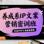 养成系IP文案营销密训班，实战中学习真高级营销