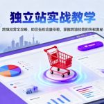 独立站实战教学，跨境经营全攻略，助您告别流量依赖，掌握跨境经营的终极奥