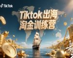 Tiktok出海淘金训练营，跨境电商TK实战变现