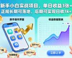 新手小白实战项目，单日收益3张+，正规长期可落地，后期可实现日收1k+【揭秘】