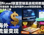 国外Lead联盟营销实战视频教程，从零基础到独立操作国外Lead项目的目标，开启海外淘金之路