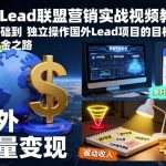 国外Lead联盟营销实战视频教程，从零基础到独立操作国外Lead项目的目标，开启海外淘金之路