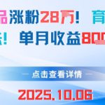 18条作品涨粉28W，育儿赛道新玩法，单月收益8k