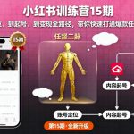 小红书训练营15期，从定位、到起号、到变现全路径，带你快速打通爆款任督二脉