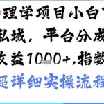 AI+心理学项目，小白可做，变现渠道多【带货，私域，平台分成，收徒】单日收益1k
